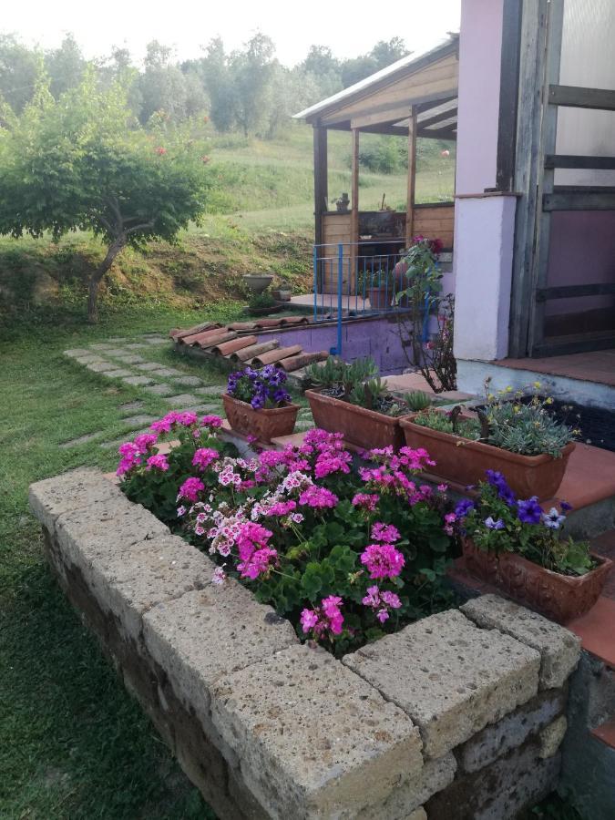 Agriturismo Campolungo Sant'Ermo Экстерьер фото