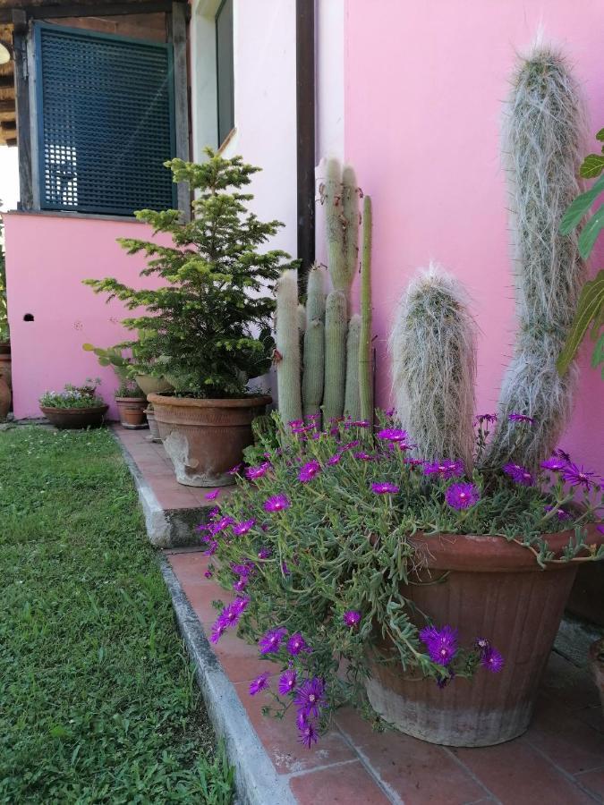 Agriturismo Campolungo Sant'Ermo Экстерьер фото